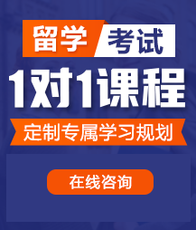 操操逼视频网站留学考试一对一精品课